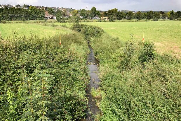 Die Renaturierung des Ruhrtals zwischen altem Trommelwehr, Ruhrbrücke und Ortsgrenze zur Stadt Fröndenberg lässt noch auf sich warten. ARCHIVFOTO: ANDREAS DUNKER