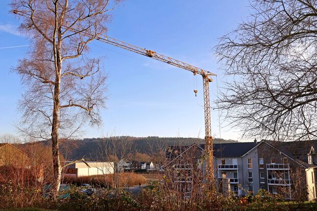 Der Kran für die Bauarbeiten "Am Park 5" steht bereits. FOTO: CARINA WESTERWELLE