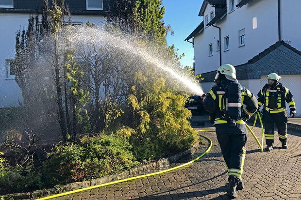 Kohlrabenschwarz: die abgebrannten Büsche im Vorgarten FOTO: ANDREAS DUNKER