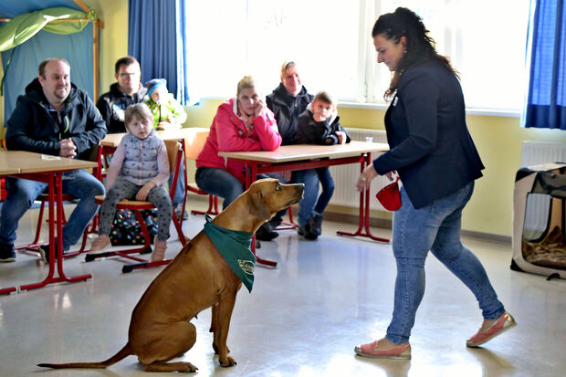 Die Klasse 1a von Konrektorin Giovanna Ferrara startet mit der im Jahre 2014 geborenen und seit 2015 im "Schuldienst" tätigen Rhodesian-Ridgeback-Hündin Mayla als Klassenhund. ARCHIVFOTO: ANDREAS DUNKER