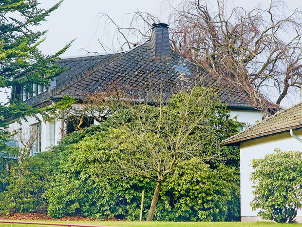 Eine mächtige Buche stürzte ins Dachgeschoss dieses Wohnhauses an der Mendener Straße. FOTO: ANDREAS DUNKER