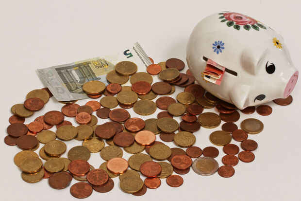 Sparschwein mit Geldmünzen und -scheinen FOTO: CARINA WESTERWELLE