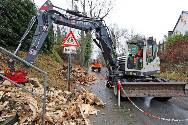 Am heutigen Montag wurden Reststämme und Wurzelwerk der gefällten Bäume durch einem Bagger beseitigt. FOTO: ANDREAS DUNKER