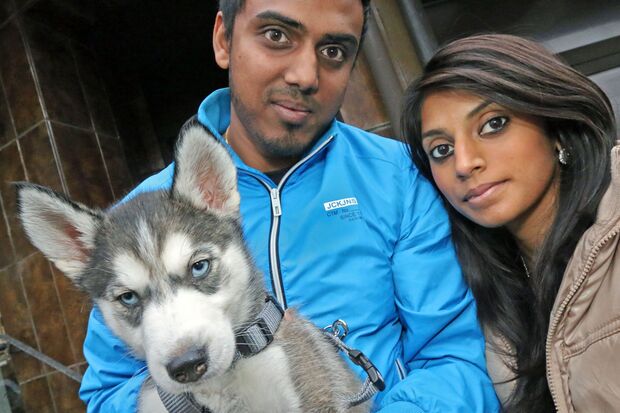 Ein hübsches Trio: Thaneshan (24) und Sinthuya  (20) Ganeshalingam mit ihrem  kleinen Husky-Welpen „Skycem“ FOTO: ANDREAS DUNKER