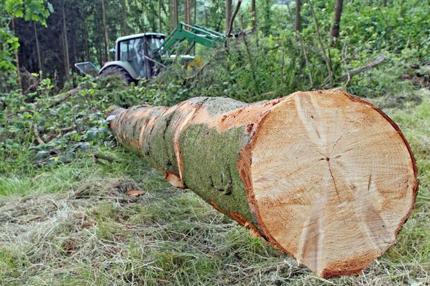 FOTO: ANDREAS DUNKER