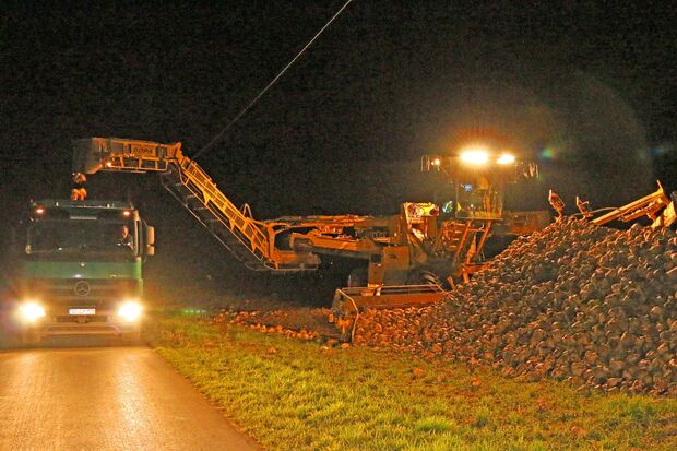 Nächtliche Verladung von Zuckerrüben am Neuenkamp FOTO: ANDREAS DUNKER