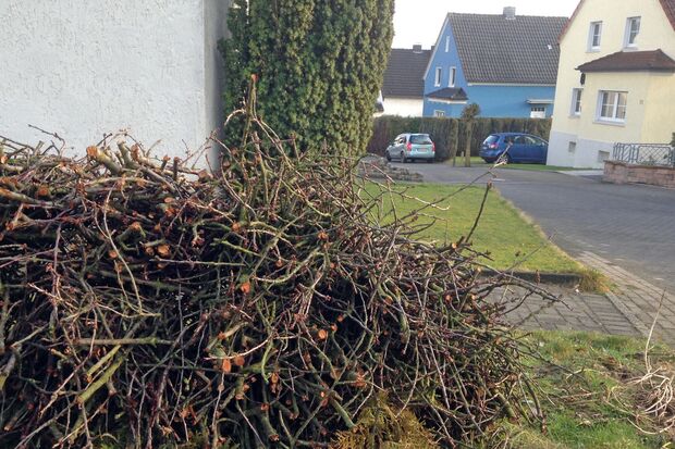 ARCHIVFOTO: ANDREAS DUNKER