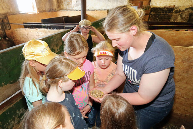 Ferienspaß 2015: Besichtigung eines Bauernhofes mit dem CDU-Gemeindeverband ARCHIVFOTO: ANDREAS DUNKER